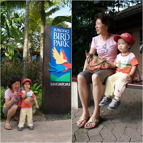 Jurong Bird Park