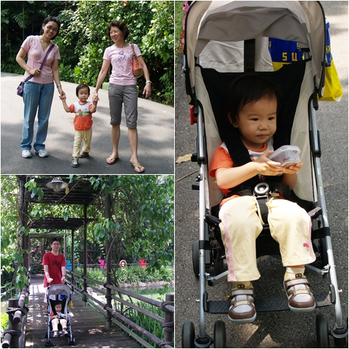 Jurong Bird Park