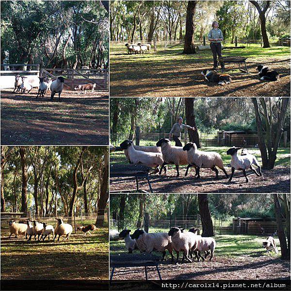 2011_04 Phillip Island