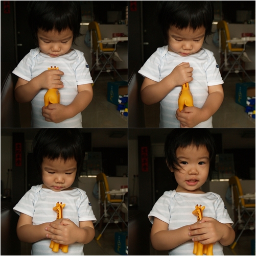 Gloria 2 yrs 2m