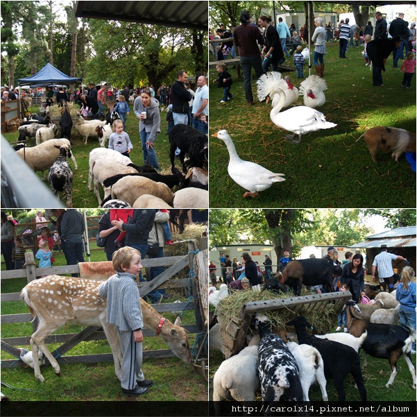 2011_04 Bendigo Easter Festival