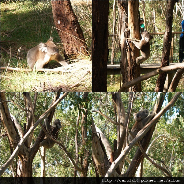 2011_04 Phillip Island