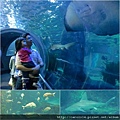 Melbourne Aquarium