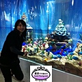 20121220高雄工藝蛋糕展 佈展Day2