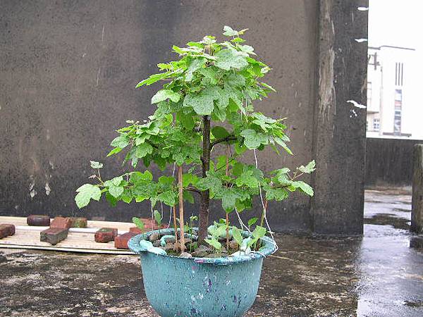 20140608 20140608
