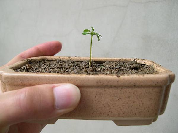 20120503.JPG 20120503.JPG