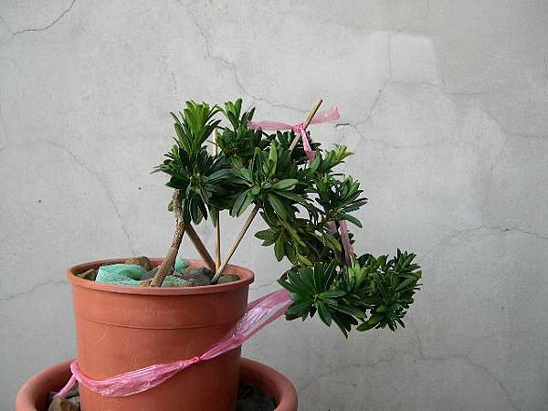 20151016.JPG 20151016.JPG