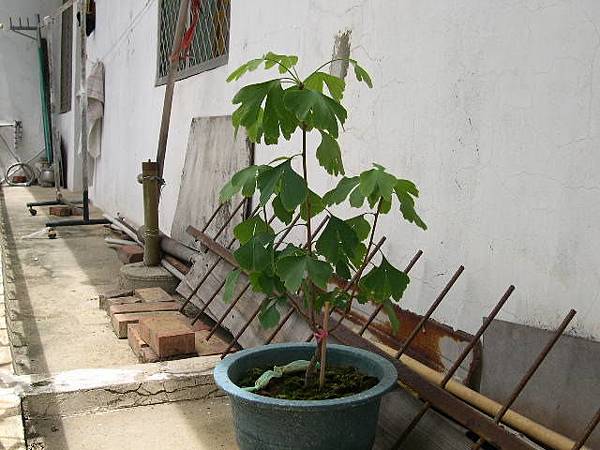 20150815.JPG 20150815.JPG