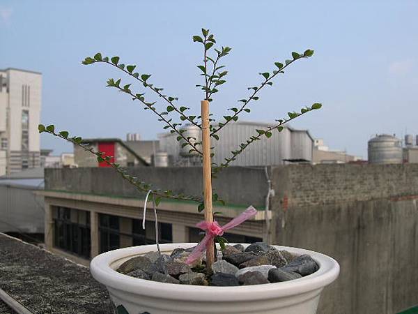 20120909.JPG