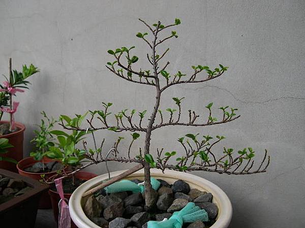 20130712.JPG 20130712.JPG