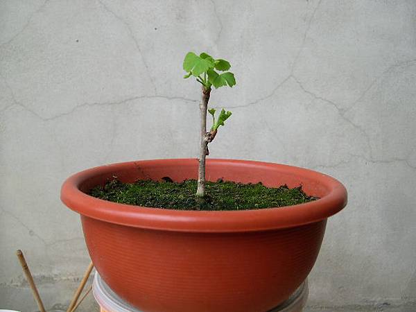 20140329.JPG 20140329.JPG