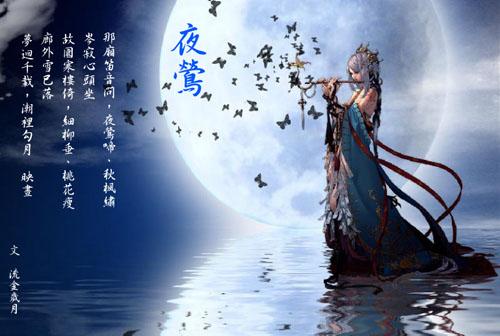 夜鶯圖片 夜鶯圖片