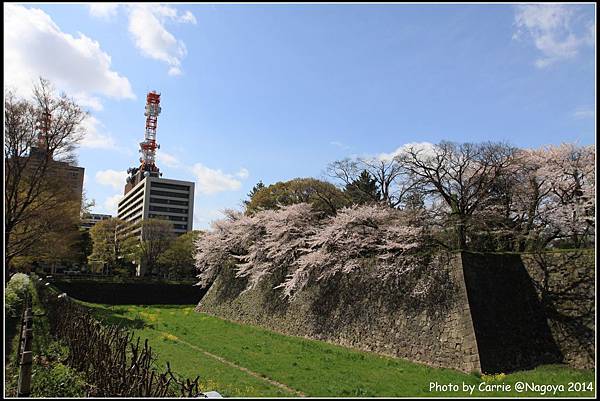 名古屋城 - 01