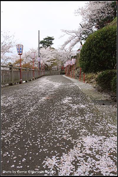 丸岡城 - 06.JPG