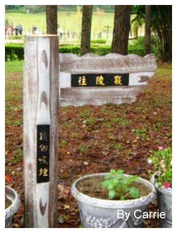 T028.JPG
