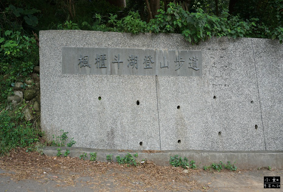 新北五股景點 楓櫃斗湖登山步道可登上觀音山硬漢嶺步道 爬硬漢嶺可見盛開繡球花 遇上起大霧的硬漢碑 小如吾家札記