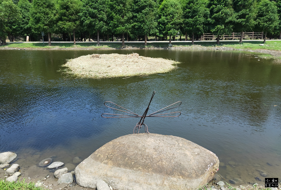 【大溪景點】月眉人工濕地生態公園,整排落羽松,可愛青蛙,粉紅