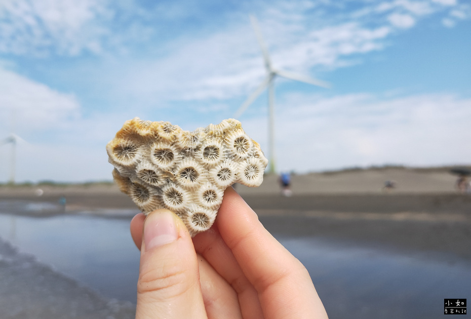 【觀音景點】觀音濱海遊憩區,風車景觀,海邊踩水去處,有淋浴間