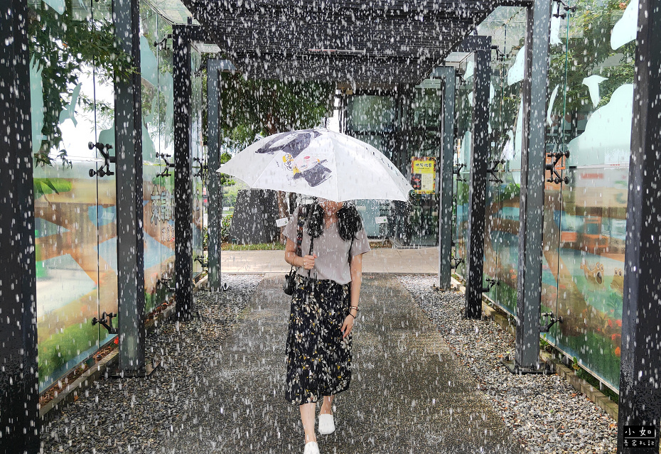【大園景點】國巨洋傘文創園區,轟隆隆的撐傘降雨體驗,跟特色雨