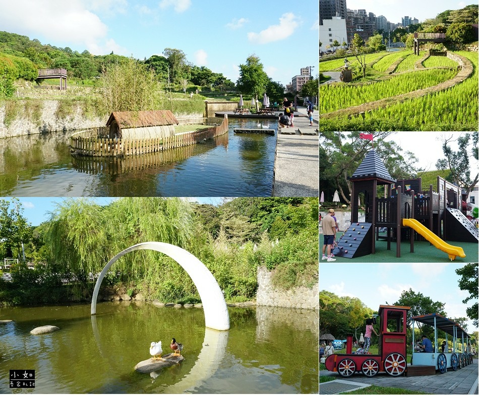 【桃園景點】大有梯田生態公園,觀景台上的綠油梯田美景,旁有小