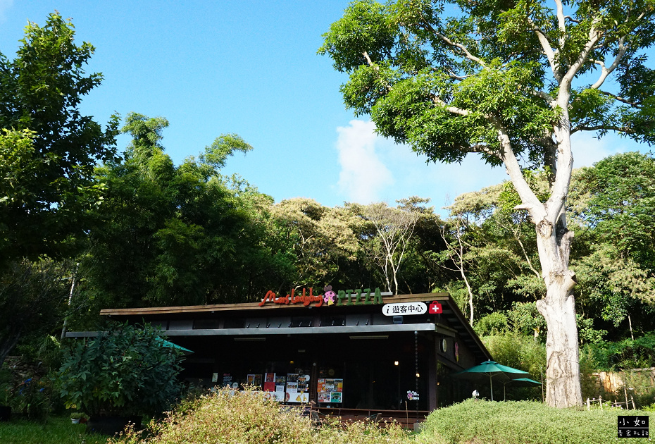 【桃園景點】大有梯田生態公園,觀景台上的綠油梯田美景,旁有小