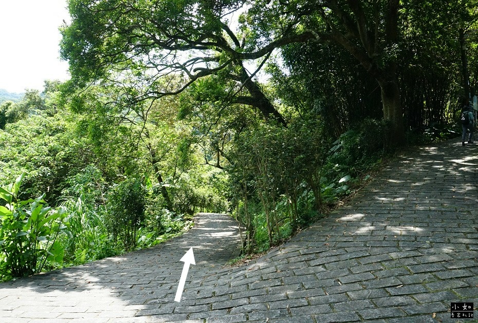 【大溪步道】白石山打鐵寮古道,隱藏在深山裡的東興橋,體力好可