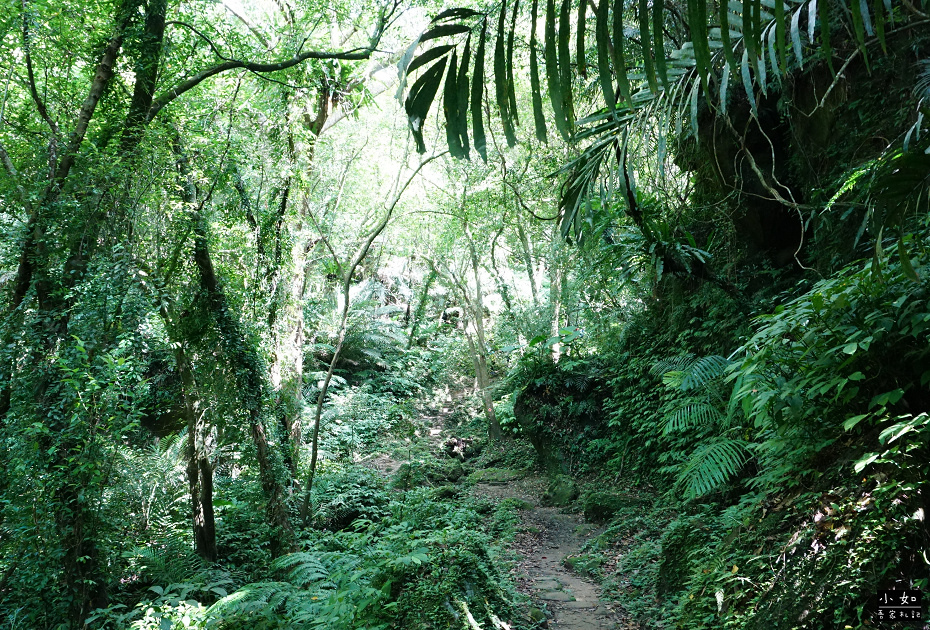 【大溪步道】白石山打鐵寮古道,隱藏在深山裡的東興橋,體力好可