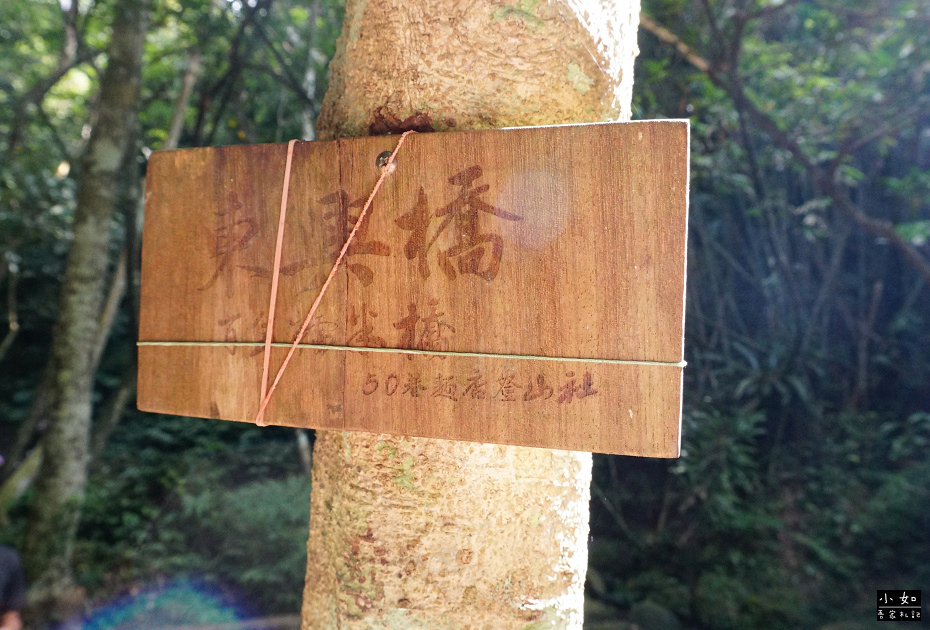 【大溪步道】白石山打鐵寮古道,隱藏在深山裡的東興橋,體力好可