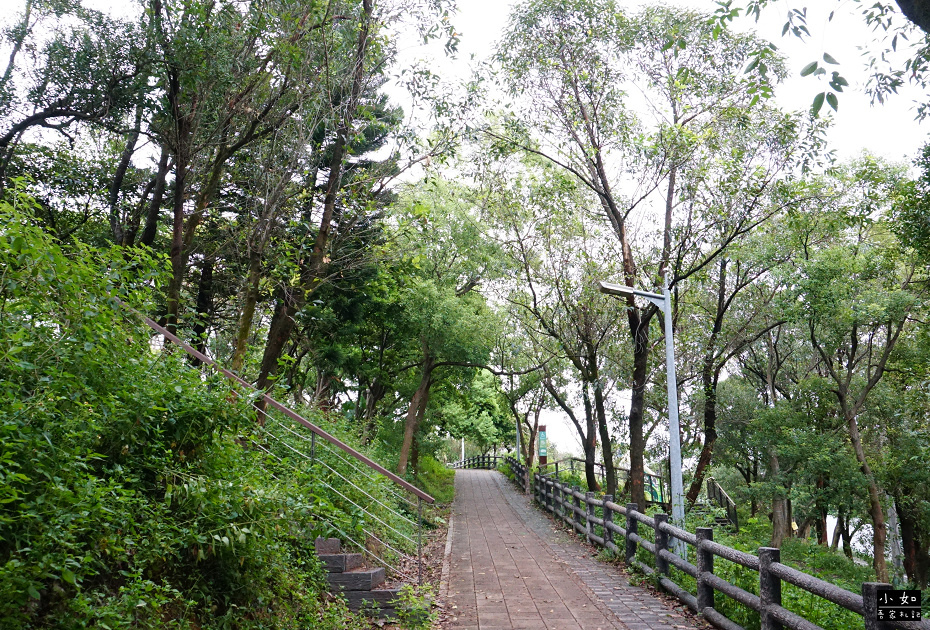 【蘆竹景點】大古山登山步道公園,輕鬆走到觀景台看風景,周圍多