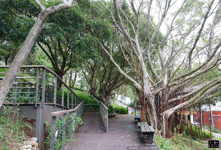 【蘆竹景點】大古山登山步道公園,輕鬆走到觀景台看風景,周圍多