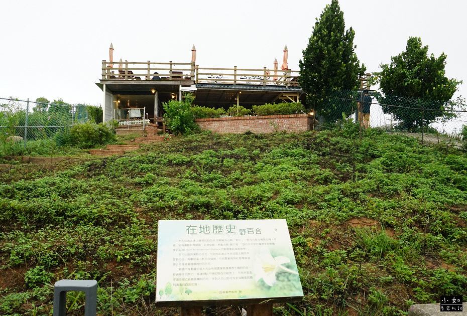 【蘆竹景點】大古山登山步道公園,輕鬆走到觀景台看風景,周圍多