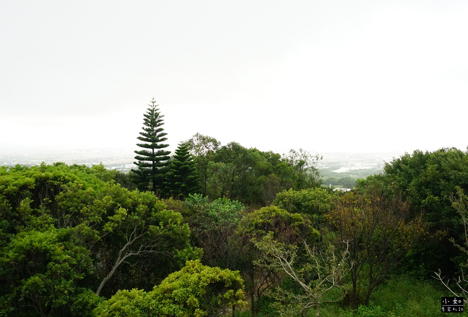 【蘆竹景點】大古山登山步道公園,輕鬆走到觀景台看風景,周圍多