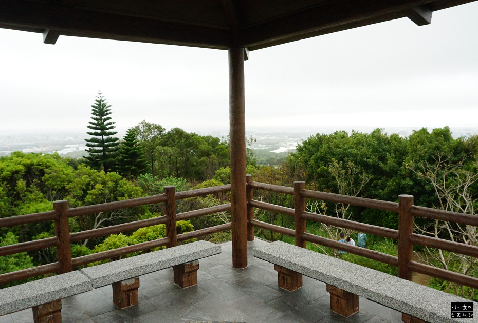 【蘆竹景點】大古山登山步道公園,輕鬆走到觀景台看風景,周圍多