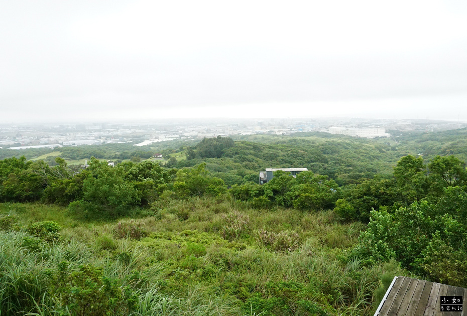 【蘆竹景點】大古山登山步道公園,輕鬆走到觀景台看風景,周圍多