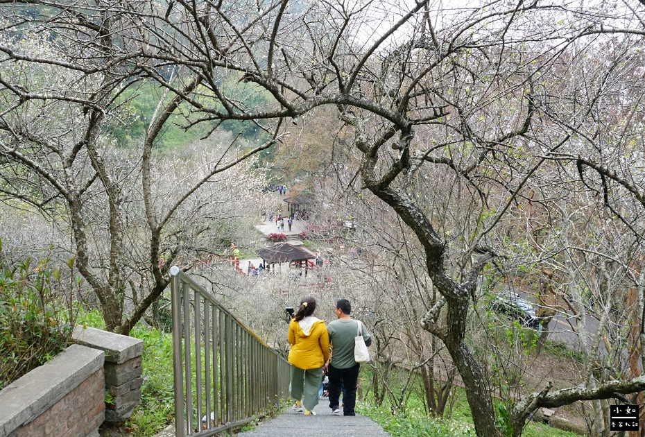 【大溪景點】石門水庫風景區,站上嵩台水庫景色太迷人,石門勝景