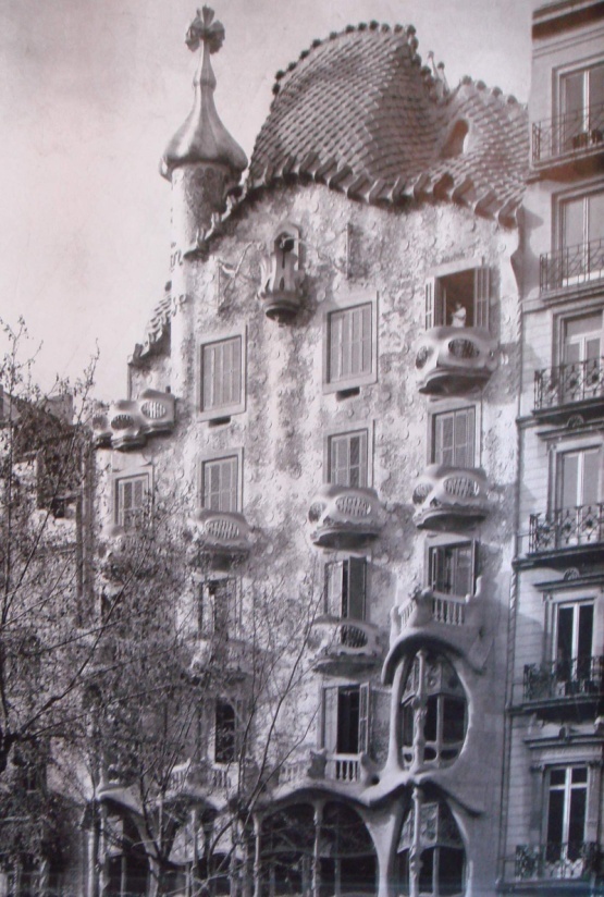 image003.jpg image003.jpg