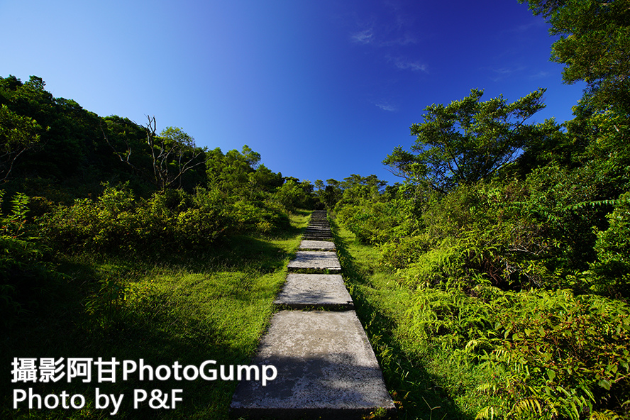 DSC00729.jpg DSC00729.jpg