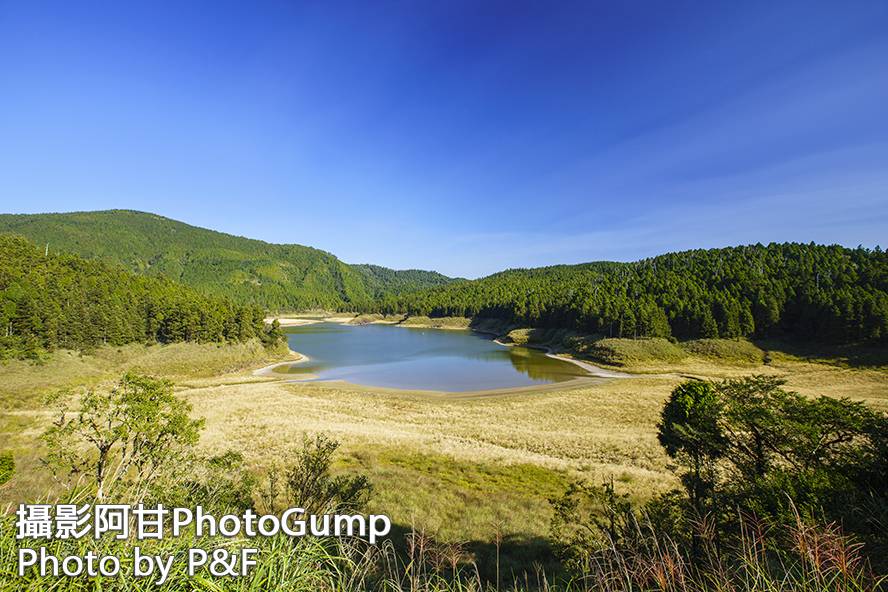 DSC06501-raw+sn.jpg DSC06501-raw+sn.jpg