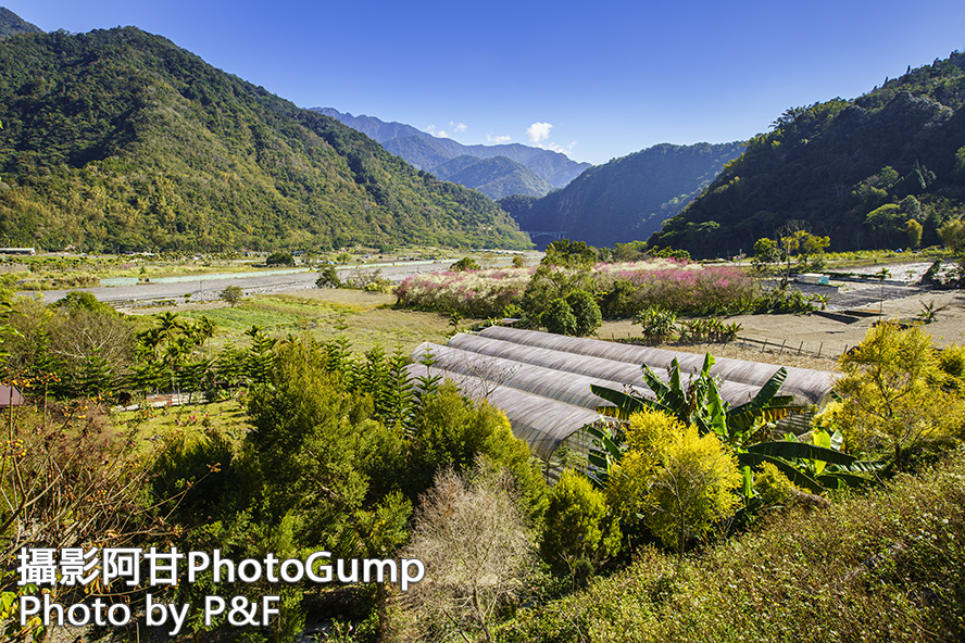 DSC00754-raw+sn.jpg DSC00754-raw+sn.jpg