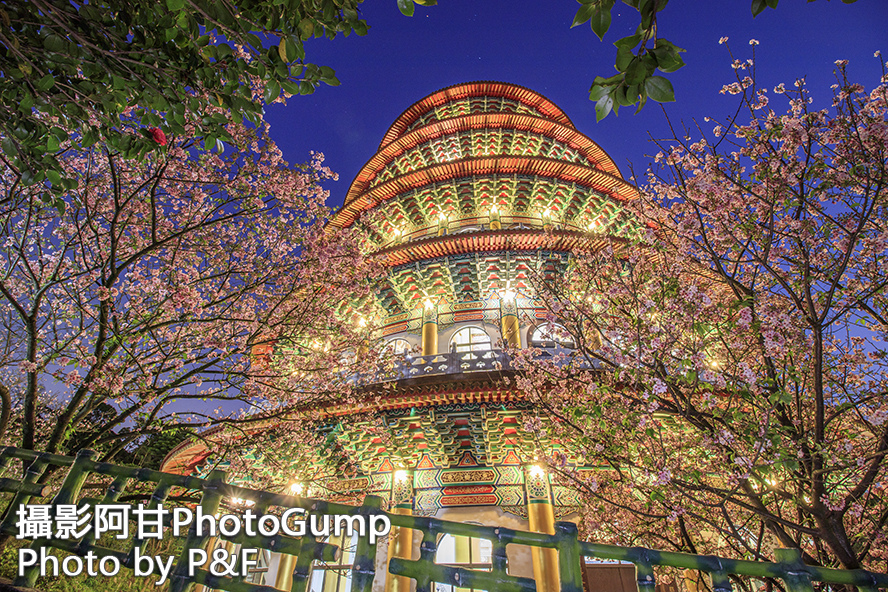 IMG_3977-raw+sn.jpg IMG_3977-raw+sn.jpg