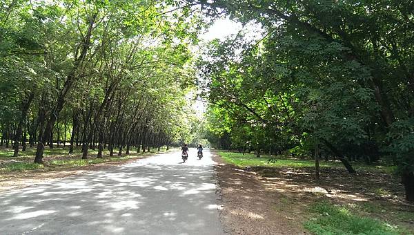 20140511古芝地道 (27).jpg 20140511古芝地道 (27).jpg