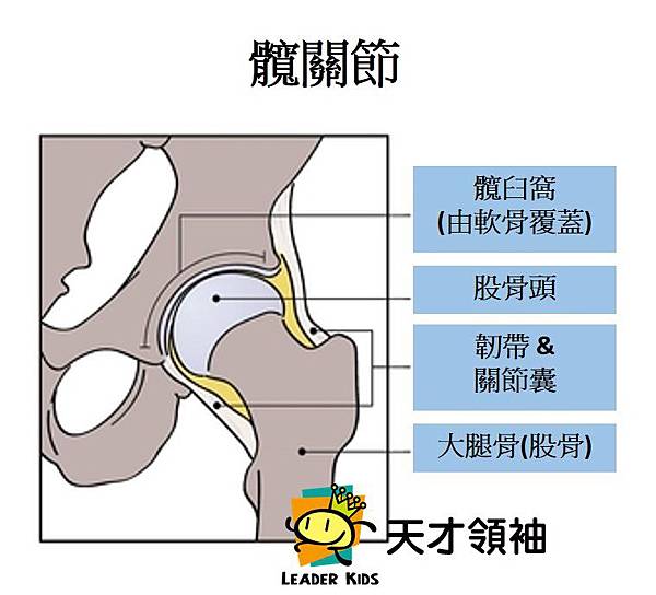 投影片2