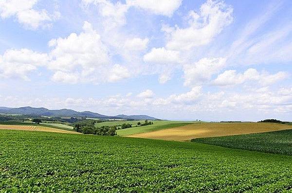 20170727_kazokuryoko_hokkaido-670x443.jpg