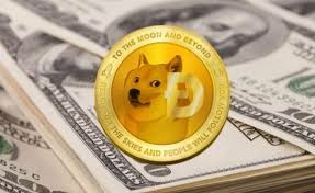 Dog coin.jpg