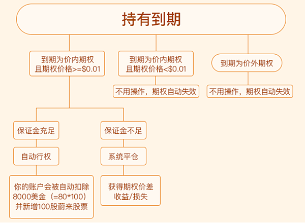 option trade rules