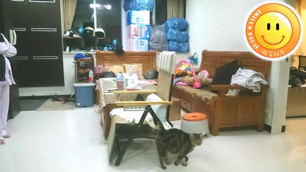 254615.jpg 254615.jpg