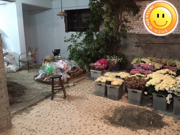 S__11468815.jpg S__11468815.jpg