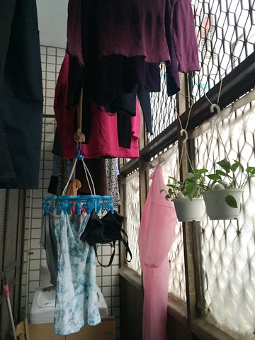 相片 2017-1-13 11 34 18.jpg 相片 2017-1-13 11 34 18.jpg