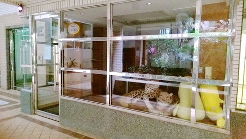 548768.jpg 548768.jpg