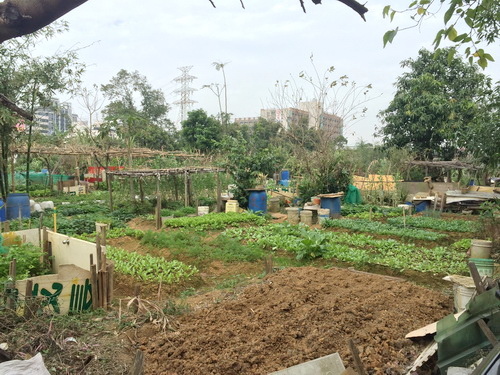 相片 2017-1-7 13 58 06.jpg 相片 2017-1-7 13 58 06.jpg